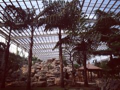 iphone_upload_pic-龙达温泉生态城