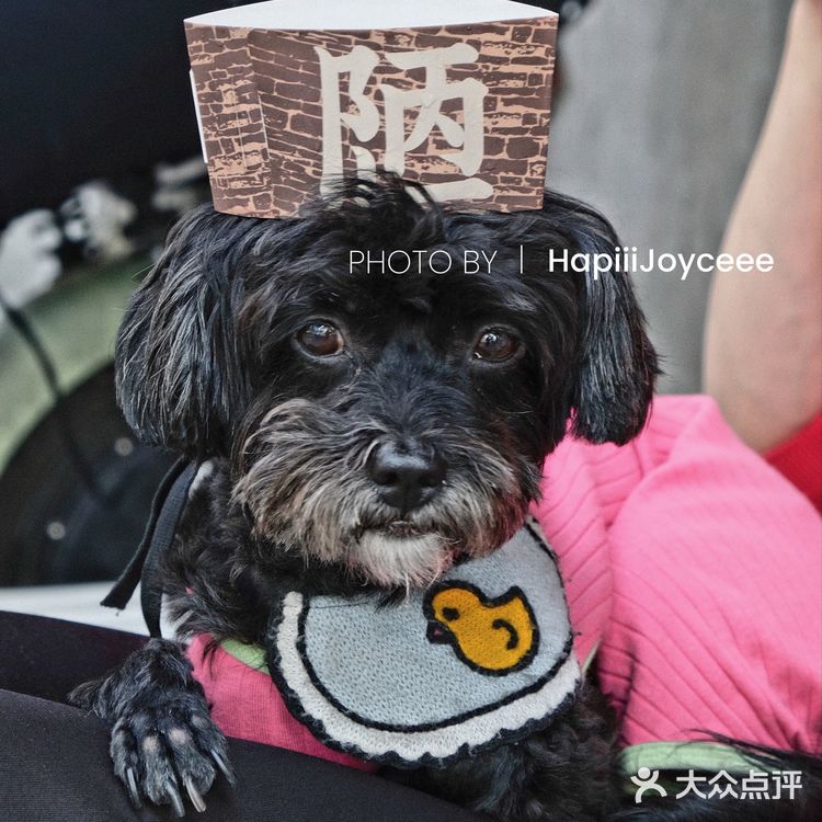 清远一家很穷的咖啡店 | 却个性又张扬