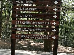 -武汉大学-樱园