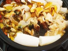 -蘑统田下·野生菌火锅