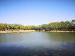 -大兴滨河森林公园