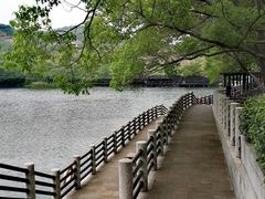 -白马涧龙池景区