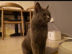 -平行世界·猫咖(首经贸店)