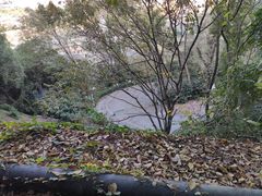 -中山公园(石岐街道)