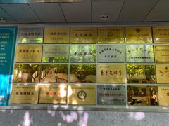 -上海市普陀区中心医院