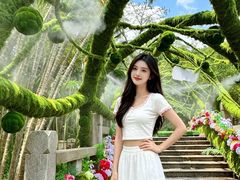 -东南花都花博园