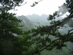 -内乡宝天曼生态旅游区