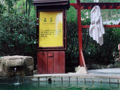 -三江森林温泉度假区