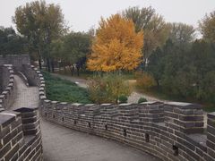 -北京世界公园