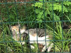 -北京外交人员免税商店(分店)