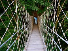 -青峰峡国家森林公园