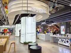 -苏宁易购(成都春熙路店)