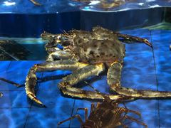 -友鹏海鲜(新宜白大道店)