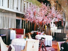-金轩中餐厅 Jin Xuan(浦东丽思卡尔顿酒店)
