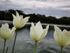 -海德公园