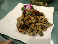 -天厨妙香素食餐厅(清华店)