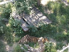 -石家庄市动物园