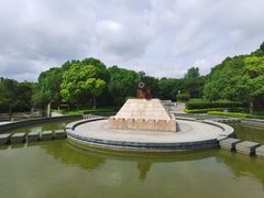 -上海吴淞炮台湾国家湿地公园