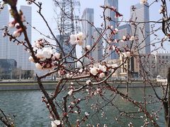 -马栏河运动公园