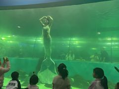 -苏州海洋馆