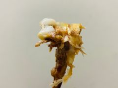 -老人和饭店(打浦路店)