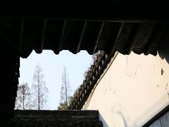 -上海醉白池公园