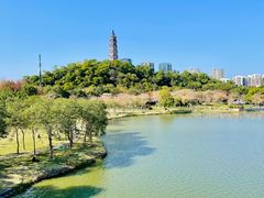 -顺峰山公园