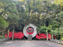 -杭州黄龙洞
