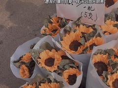 -循礼门鲜花花市(武汉循礼门店)