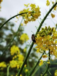 -Oasis Beauty水磨坊科技美肤中心