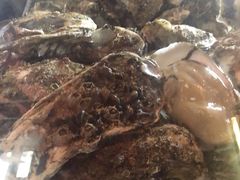 -土蚝·高压锅生蚝(百姓美食街店)