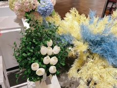 -KKV(深圳宏发大仟里店)