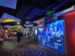 -万达影城(洛阳万达广场IMAX激光店)