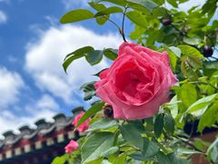 -齐白石旧居纪念馆