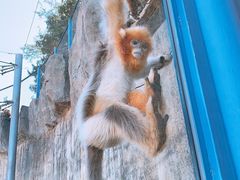 -大连森林动物园