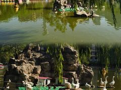 -团结湖公园
