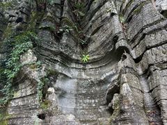 -梭布垭石林景区