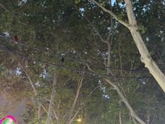 -健康路夜市