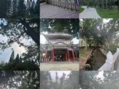 -荔枝公园(福田区)