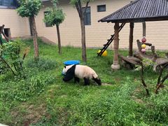 -石家庄市动物园