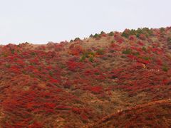 -水峪民俗村