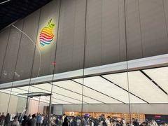 -Apple零售店(天环广场店)