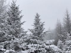 -鳌山滑雪度假区