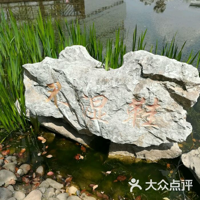 浦兴文化公园图片