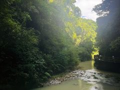 -龙水峡地缝景区