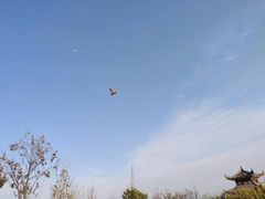 -天屿湖