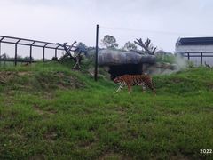 -祥源·阜阳生态乐园