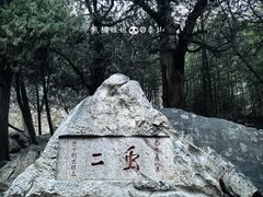 -泰山风景名胜区