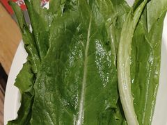 -蜀留香火锅·始于1999·原四川老火锅(白堤路店)