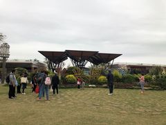 -上海长兴岛郊野公园